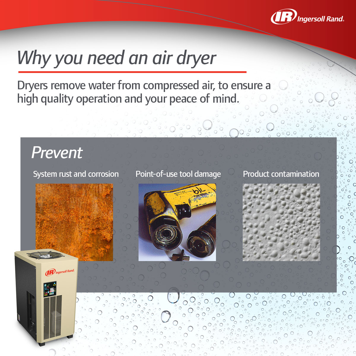compressed air treatment D42IN why you need dryer