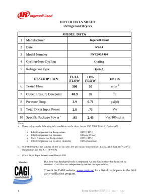CAGI-Datasheet-NVC300A400.pdf