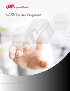 irits-0816-161-care-service-program-screen